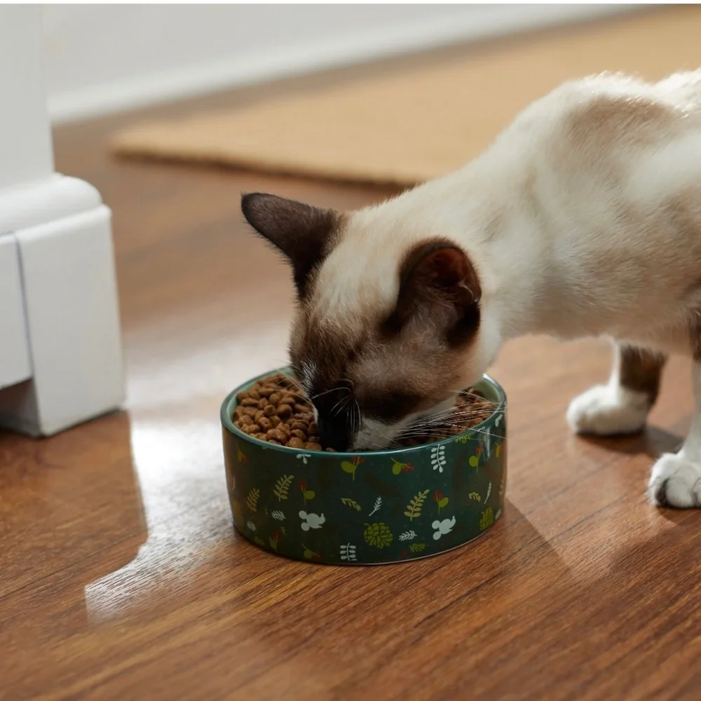Disney Mickey Mouse Holiday NonSkid Ceramic Dog & Cat Bowl By Disney
